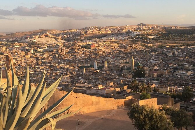Private Full-Day Tour of the Authentic Medina of Fez - Exploring the Medina
