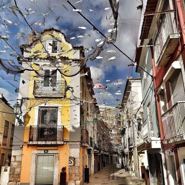 Private Full Day Tour Setubal - Key Points