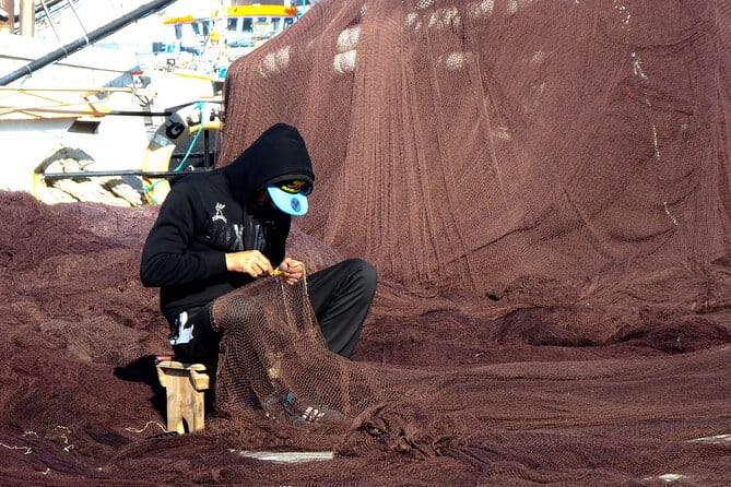 Private Full Day Tour through Sesimbra and Arrábida - Tasting Portuguese Wines at Jose Maria de Fonseca
