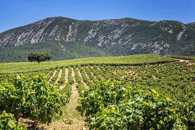 Private Full Day Tour through Sesimbra and Arrábida - Visiting Vila Nogueira de Azeitao and the Tile Factory