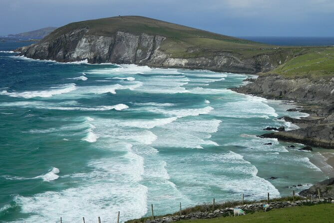 Private Full-Day Tour to Dingle and Slea Head - Final Thoughts