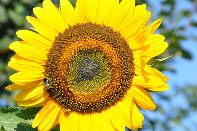 Private Full Day Tour Unesco - FAQs