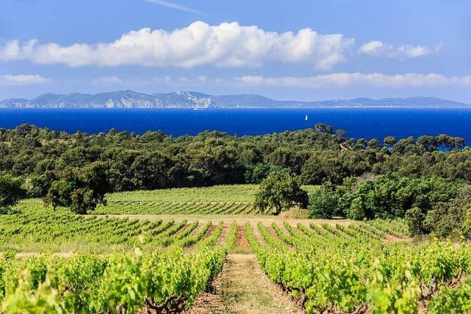 Private Full Day Wine Tour in Provence from Toulon Cruise Port - Key points / Takeaways