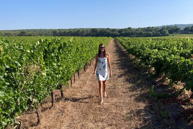 Private Full Day Wine Tour in Provence from Toulon Cruise Port - Price and Value Considerations