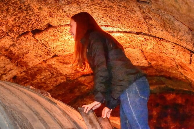 Private Full Day Wine Tour in Rioja - Key Points