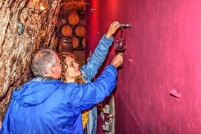 Private Full Day Wine Tour in Rioja - A detailed look at this Rioja wine tour