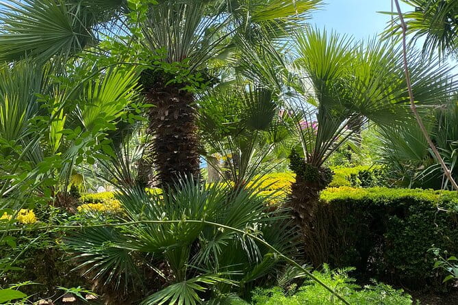 Private Game of Thrones Tour with King's Landing Garden - Entering the World of Dubrovnik’s Most Famous Filming Locations