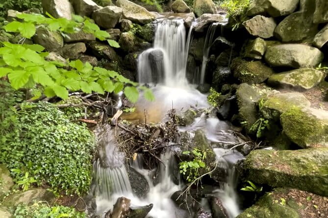 Private Garden of Ireland Wicklow Tour from Dublin - Key Points / Takeaways