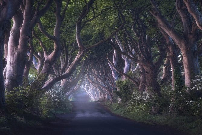 Private Giants Causeway Express Tour from Belfast - Frequently Asked Questions