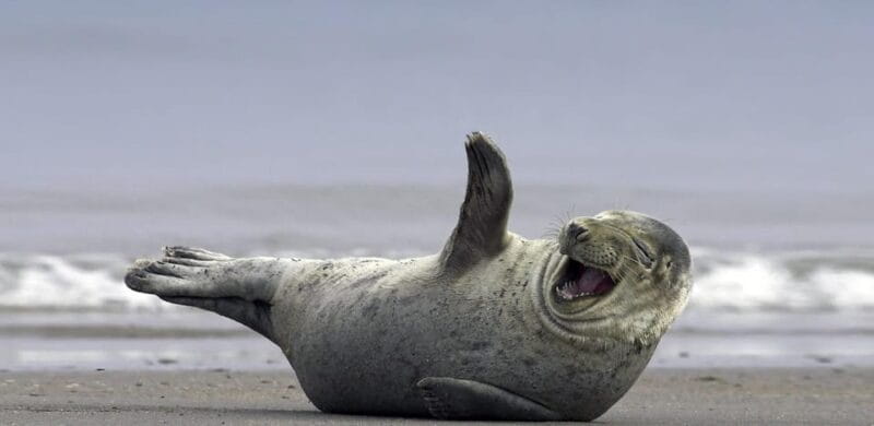 Private Glacier Lagoon & Diamond Beach Tour - The Sum Up: Why Choose This Private Tour?