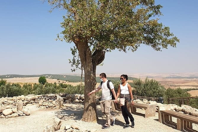 Private Göbeklitepe Tour from Istanbul - FAQ About the Göbekli Tepe Private Tour from Istanbul