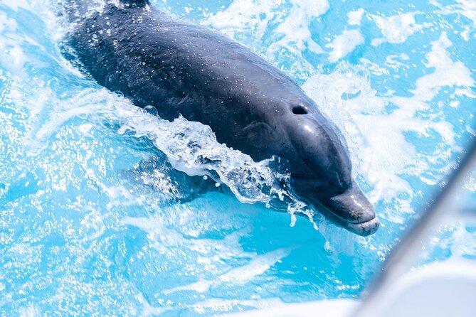 Private Grace Bay Boat Sunset Tour With Pickup - Tour Overview