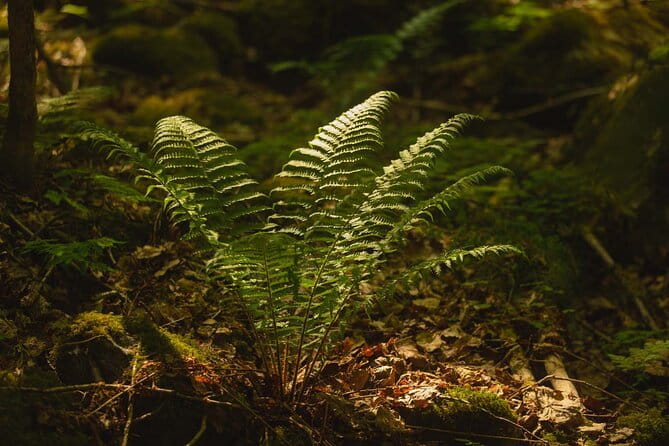 Private Great lake tour - FAQs