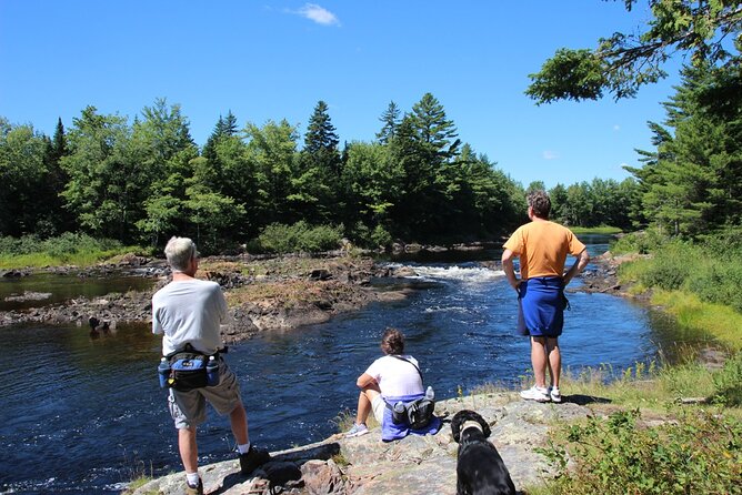 Private Greater Toronto Drivespa Tour With Lunch - Nature Getaway