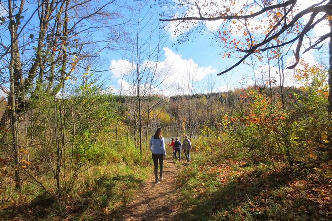 Private Greater Toronto Drivespa Tour With Lunch - Relaxation and Recharging