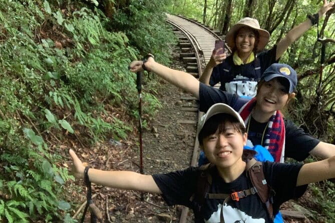 [Private Guide & Plan With Bento] Lets Walk in the Forest of Thousands of Years of Age! Jomon Cedar Day Trip Trekking [Special Lunch With Yakushima Ingredients! ] - Important Tour Details