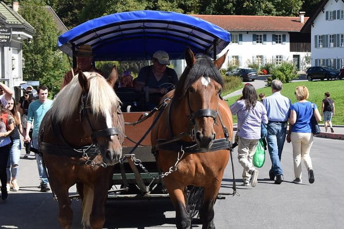 Private Guided Day Trip to Castle Neuschwanstein incl. Carriage Horse Ride - FAQ