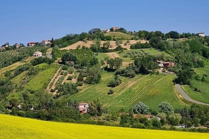 Private Guided E-bike Tour in Bertinoro - FAQ