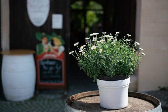 Private Guided Full Day Tour to charming Burgenland region with Wine tasting - Final Thoughts