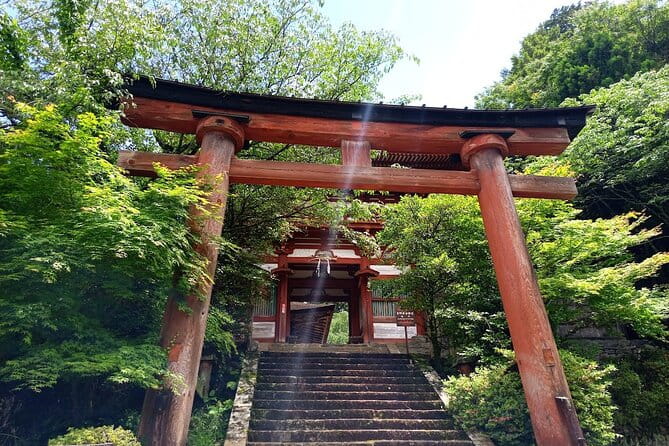 Private Guided Half-Day Walking Tour in Yoshinoyama - Dining Options and Recommendations