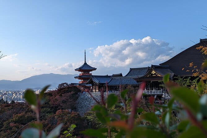 Private Guided Historical Sightseeing Tour in Kyoto - Tour Features