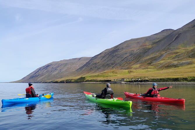 Private: Guided kayak tour in Siglufjörður / Siglufjordur. - An In-Depth Look at the Guided Kayak Tour
