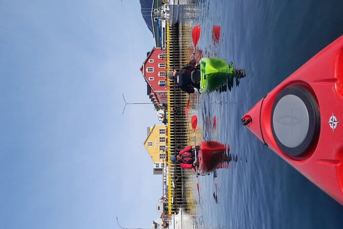 Private: Guided kayak tour in Siglufjörður / Siglufjordur. - FAQ about the Guided Kayak Tour in Siglufjörður
