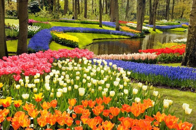 Private Guided Keukenhof Gardens and Zaanse Schans Tour - Entering a World of Color and Windmills