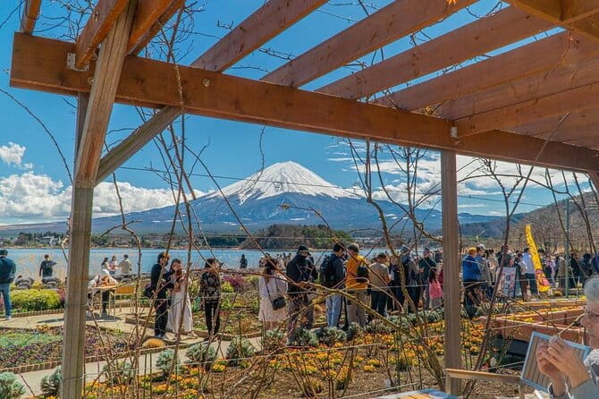 Private Guided Tour at Mount Fuji Majesty - Pickup and Accessibility Options