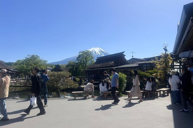 Private Guided Tour at Mount Fuji Majesty - Traveler Reviews and Feedback