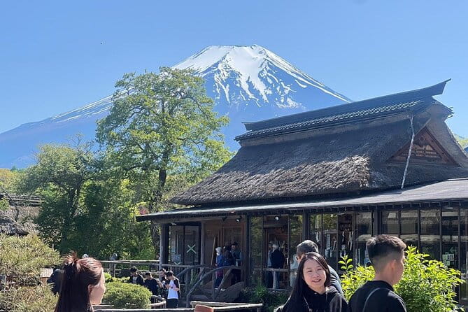 Private Guided Tour at Mount Fuji Majesty - Pricing and Booking Information