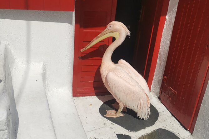 Private Guided Tour in Mykonos With Luxury Car - Inclusions