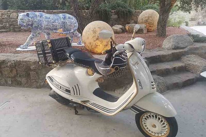 Private Guided Tour in Mykonos With Luxury Car - Booking Information