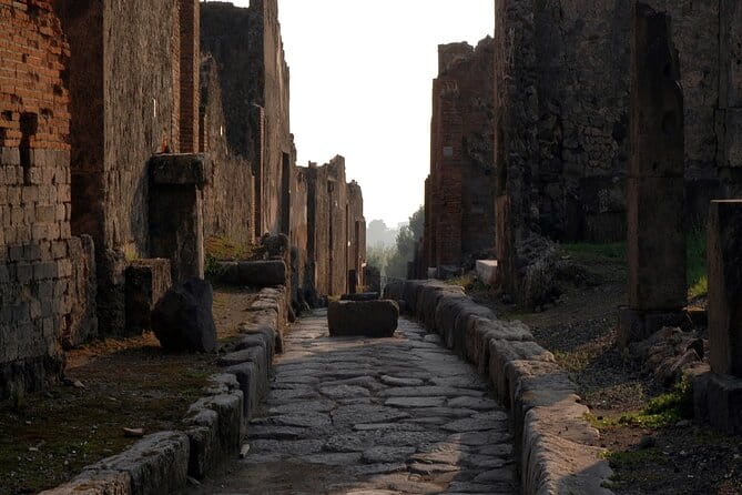 Private Guided Tour in Pompeii - Entering Pompeii: Your Time-Travel Gateway