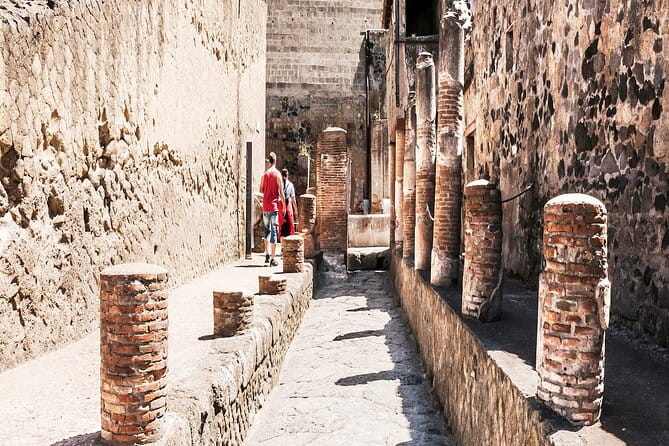 Private Guided Tour in Pompeii - Price and Value Assessment