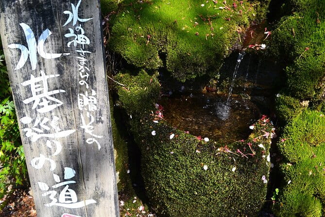 Private Guided Tour: Mt. Aso Volcano, Grasslands, Aso Shrine - Inclusions in the Tour