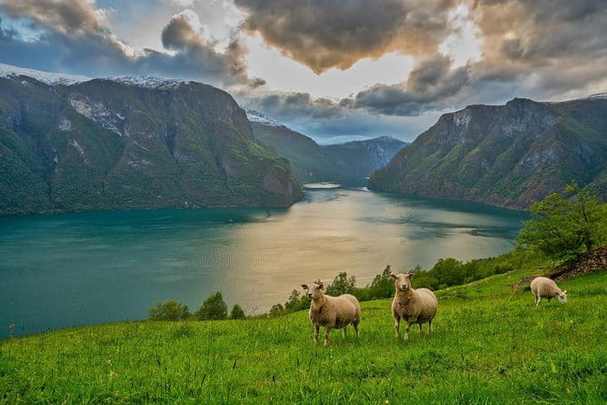PRIVATE GUIDED TOUR: Norway's Highlights  Viking Special, 11-12 hours  SUMMER - Seeing Norway’s Natural Beauty and Cultural Heritage in One Day