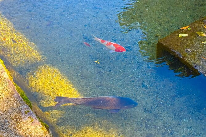 Private Guided Tour of Shirakawa-go - Booking and Cancellation Policy