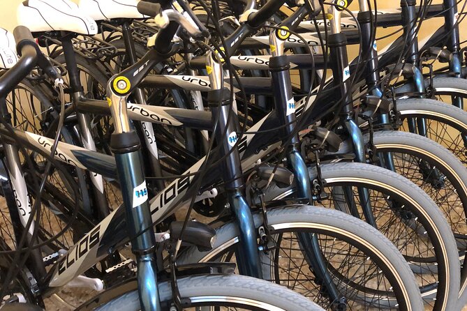 Private Guided Tour of the Historical Attractions of Lecce - Tour Conditions