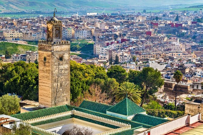 Private Guided Tour of the Medina of Fez and Its Surroundings - Exploring the Medina of Fez