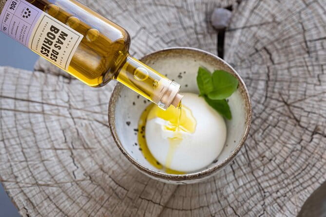 Private guided tour, olive grove in Salon de Provence. - Key points / Takeaways