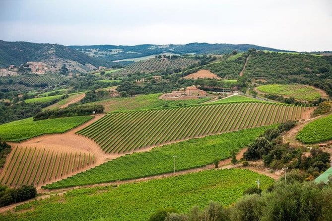 Private guided tour: Siena San Gimignano and Chianti - Exploring San Gimignano’s Medieval Charm