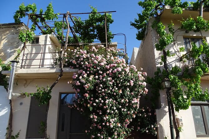 Private Guided Tour to Lasithi Plateau Villages & Olive Oil Mill - Who this tour is best for