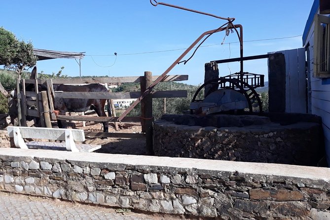 Private-Guided Tuk Tuk Country Side Tour - Exploring Citrus Growing Areas