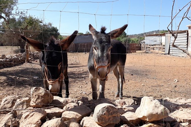 Private-Guided Tuk Tuk Country Side Tour - Tasting Local Dishes and Liqueurs