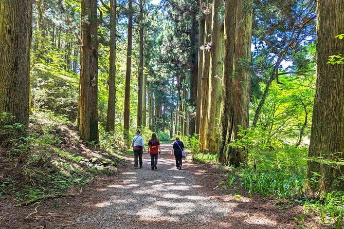 Private Hakone Tour - View of Mt. Fuji, Nature and Culture - Meeting and Pickup Information
