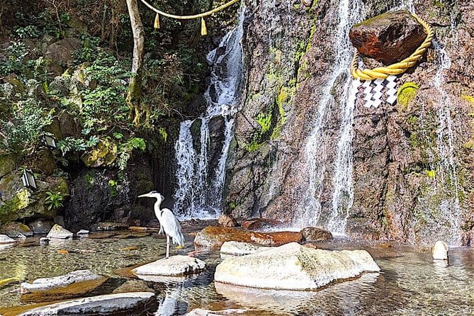 Private Hakone Tour - View of Mt. Fuji, Nature and Culture - Booking and Confirmation