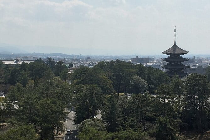 Private Half-Day City of Nara Guided Tour - Inclusions