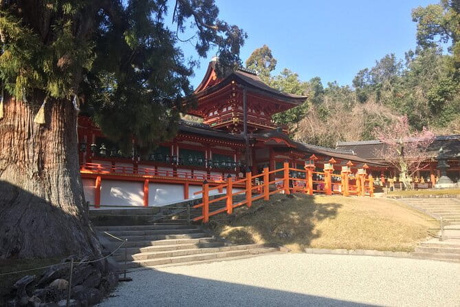Private Half-Day City of Nara Guided Tour - Itinerary