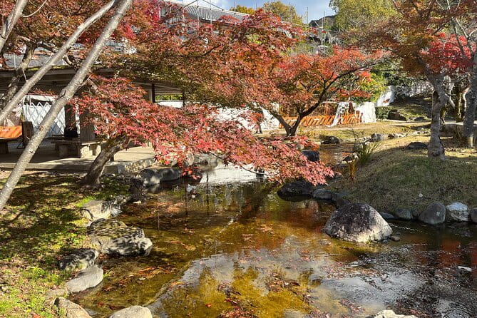 Private Half-Day City Tour of Kyoto - Accessibility and Services